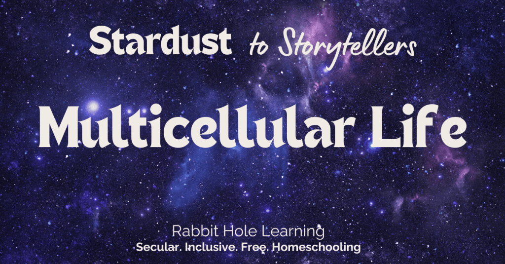 Cosmic background Multicellular life stardust to storytellers RHL